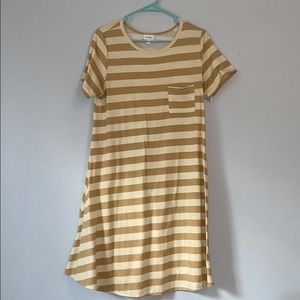 LulaRoe Spring Dress